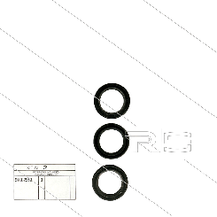 INTERPUMP Rep. Kit 2 Öldichtungen (3x) 