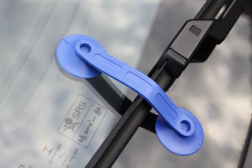 Saugnäpfe, fest 1.000 Stück