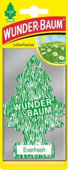 24er-Box WUNDER-BAUM® Duftbäumchen "Everfresh" 