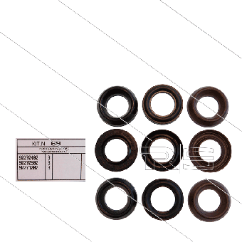 INTERPUMP Rep. Kit 69 Manschettensatz für 3 Plunger 